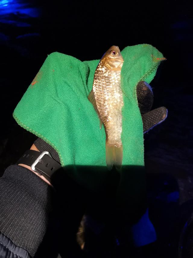 冬天夜钓最佳路线图，首场夜钓京城热门钓点