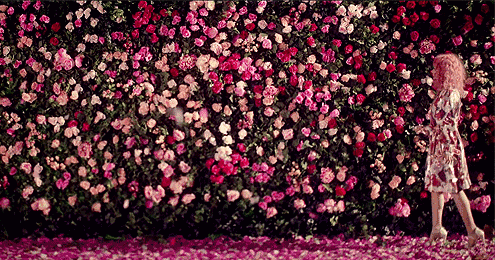 去黑头的最温和科学方法，10年老黑头都能干净