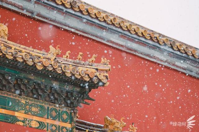 什么叫大三元镜头，带你深入了解大三元