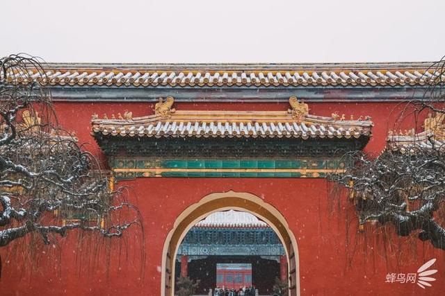 什么叫大三元镜头，带你深入了解大三元