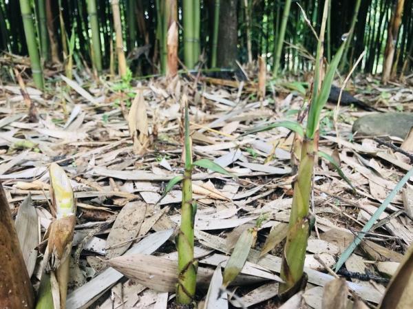 乐山生活指南，乐山人的幸福周末