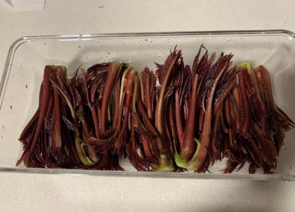 乐山生活指南，乐山人的幸福周末