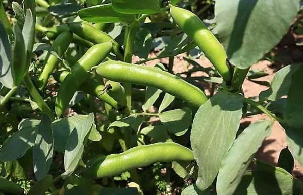 乐山生活指南，乐山人的幸福周末