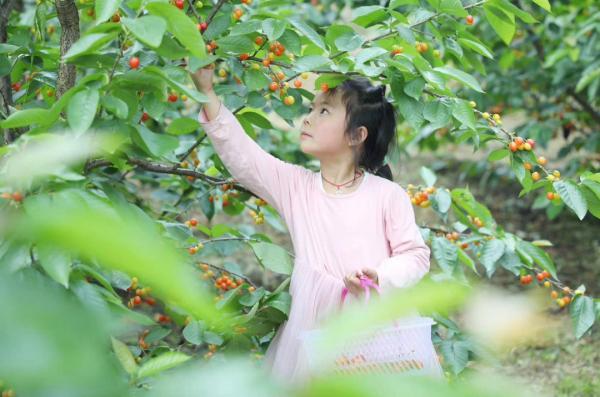 乐山生活指南，乐山人的幸福周末