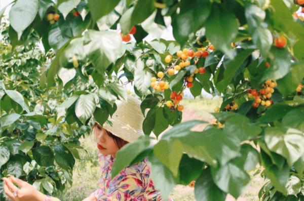 乐山生活指南，乐山人的幸福周末