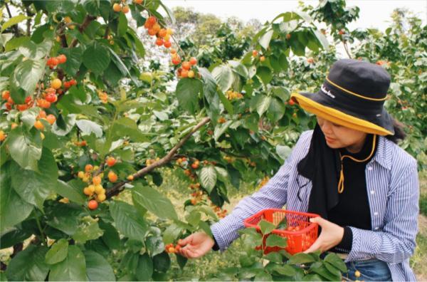 乐山生活指南，乐山人的幸福周末