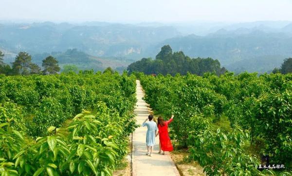 乐山生活指南，乐山人的幸福周末