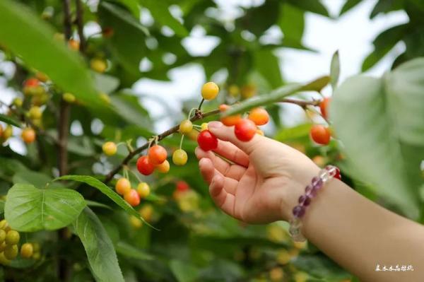 乐山生活指南，乐山人的幸福周末