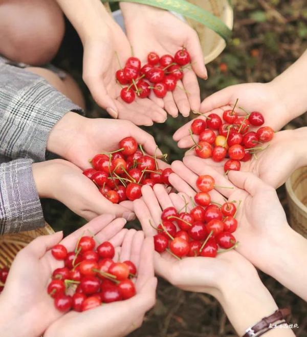 乐山生活指南，乐山人的幸福周末