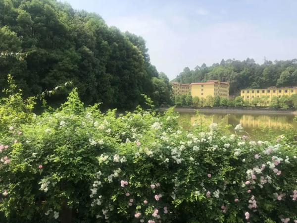 乐山生活指南，乐山人的幸福周末