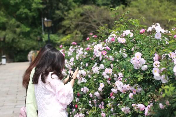 乐山生活指南，乐山人的幸福周末