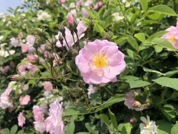 乐山生活指南，乐山人的幸福周末