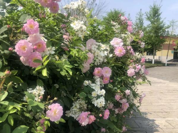 乐山生活指南，乐山人的幸福周末