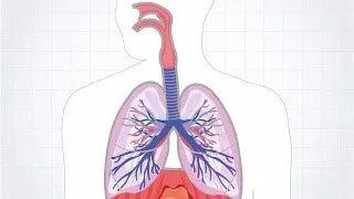 糖尿病加肺(糖尿病加肺结核,肺上有空洞怎么办?)