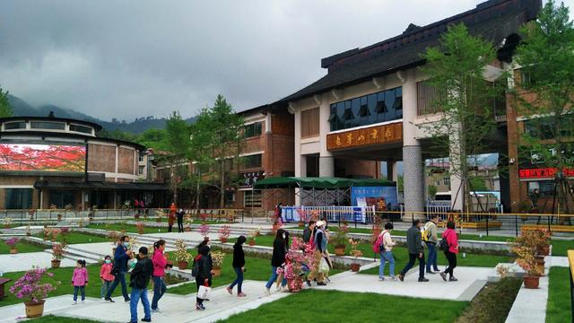 麻城龟峰山10万亩杜鹃迎来盛花期，麻城龟峰山杜鹃花期多长