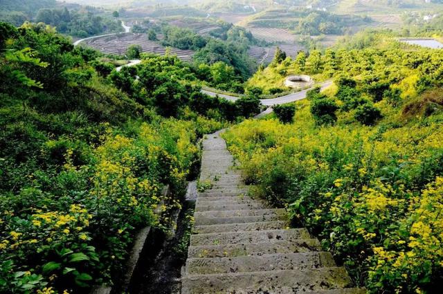 广安十大最新旅游景点，五一假期去哪里