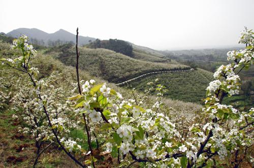 广安十大最新旅游景点，五一假期去哪里