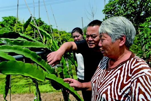 传统古村落与乡村旅游，还有众多A级景区和民宿