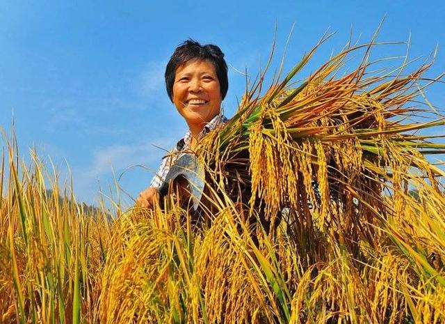 再见大别山歌词，再见大别山全部歌词（歌词孙振春大别山）
