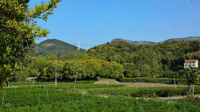 增城旅游攻略必去十大景点，观光旅游休闲科普