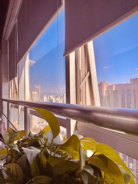 陕西五月份哪里下雪了，纷纷扬扬飘飘洒洒