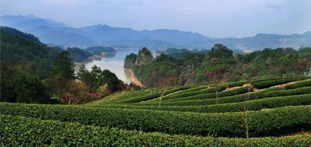 泰宁旅游必去十处景点，福建旅游-泰宁丹霞山水游-九龙潭、上清溪、明清园