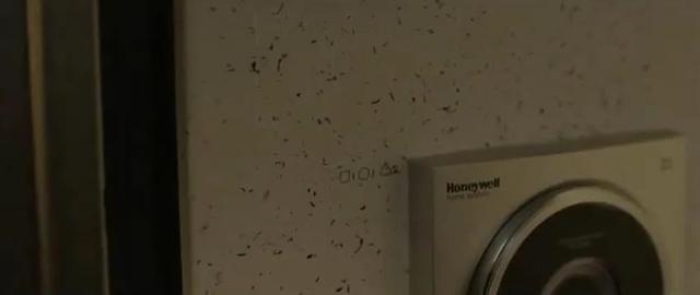 长期占据影史最高票房纪录，刷新影史票房的黑马