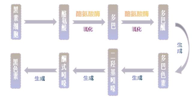 水光肌是什么意思，水光肌护肤的正确用法（如何才能拥有水光肌）