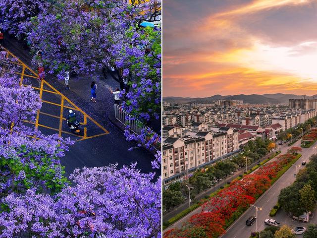 云南超美的两处花海，爆美这段时间云南的花海冰火两重天