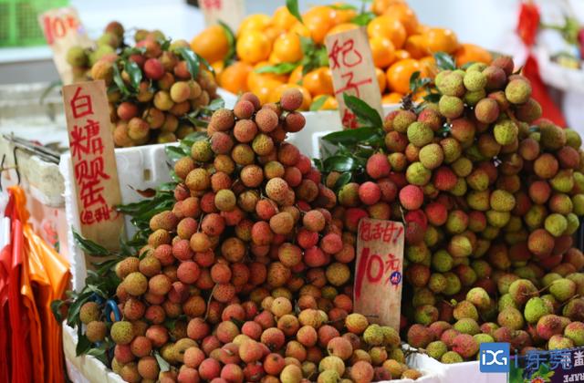 东莞荔枝几月份成熟，2022年东莞荔枝几月份成熟（东莞荔枝销售进入尾声）