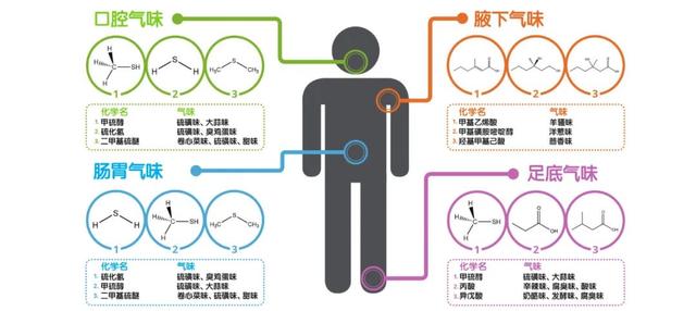 睡觉能闻到自己腋臭味吗(睡觉闻到自己的呼吸好臭)