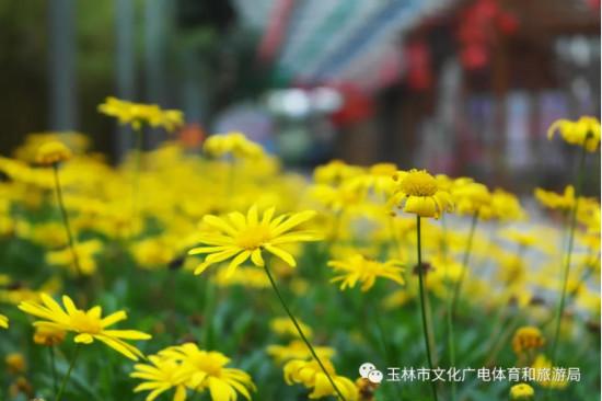 六月一日广西旅游，特别策划5.20