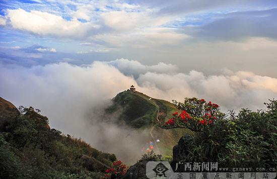 六月一日广西旅游，特别策划5.20