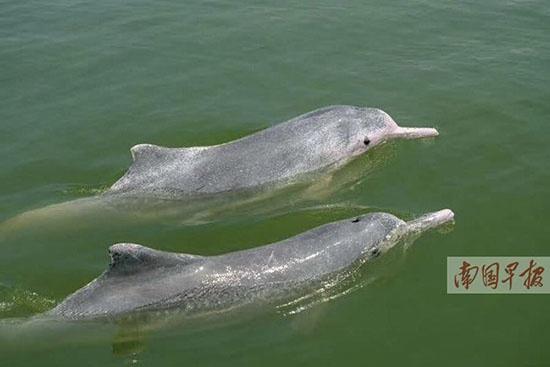 六月一日广西旅游，特别策划5.20