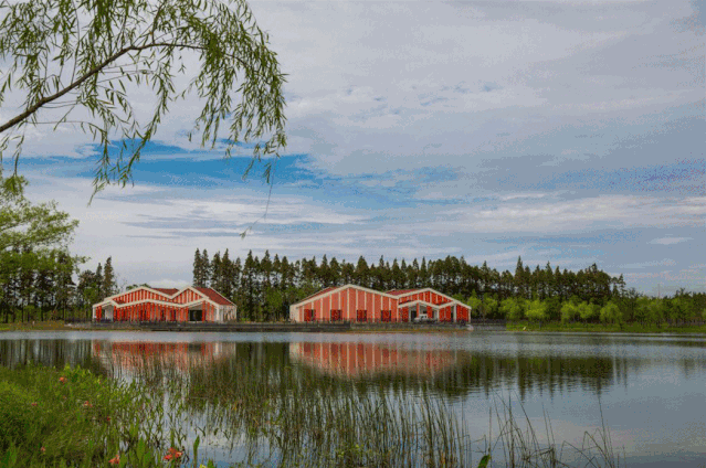 上海迪士尼旅游度假区官网，套起--上海迪士尼官宣开园