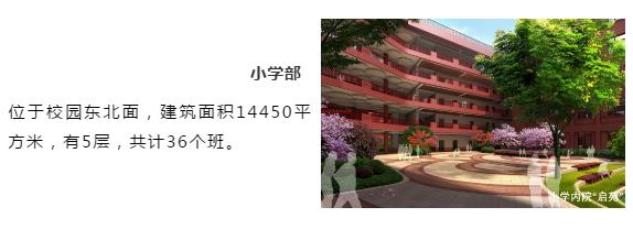 天元大学是几本，杭州这所新学校宣布（杭州九年制学校）