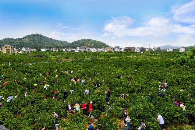海宁尖山新区概况，绿水青山且看尖山