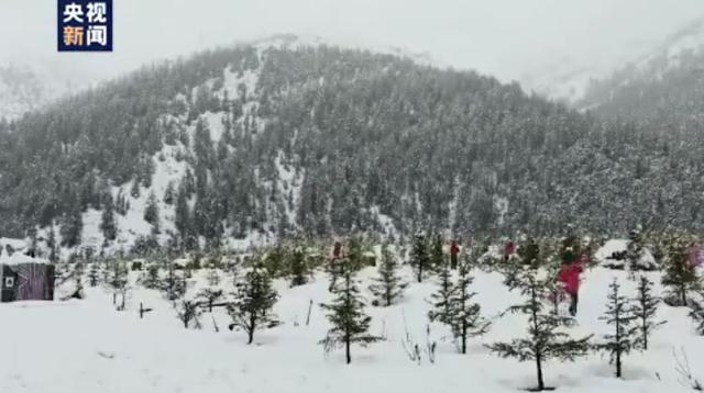 云南昆明现在下雪了吗，昆明今早上演冻死在夏天