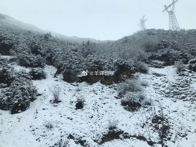 云南昆明现在下雪了吗，昆明今早上演冻死在夏天