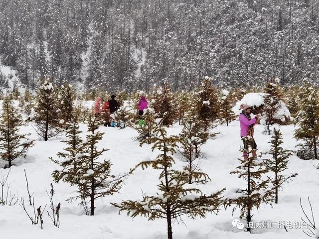 云南昆明现在下雪了吗，昆明今早上演冻死在夏天