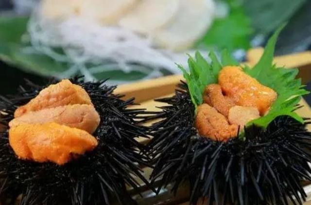 海胆肉怎么吃法，海胆肉最好吃的做法（网红海胆做法，火速收藏）