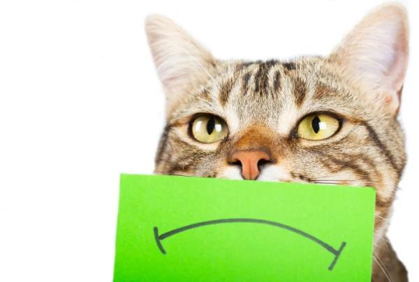 常生气的人容易伤害这4个器官，身体这8处易受伤