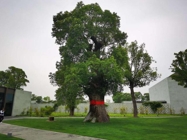 闵行附近好玩的景点推荐，闵行没啥好玩的旅游点