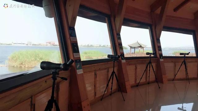 厦门周末亲子游好去处，周末天气这样变化，怎么遛娃