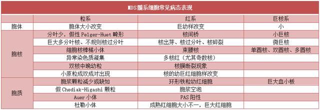 细胞周期分析是查什么，细胞周期的检测方法