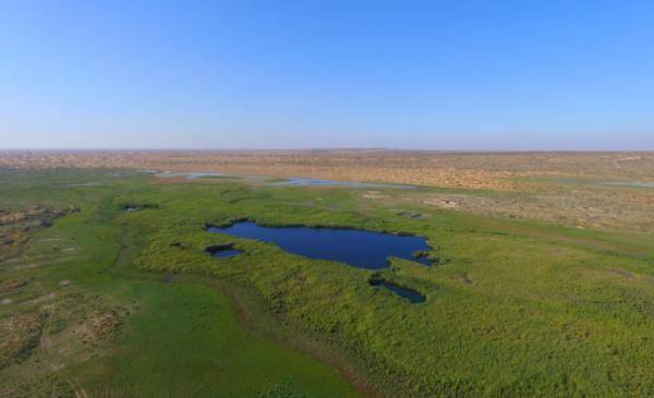 腾格里沙漠最具体的位置在哪儿，腾格里沙漠有个奇怪的湖