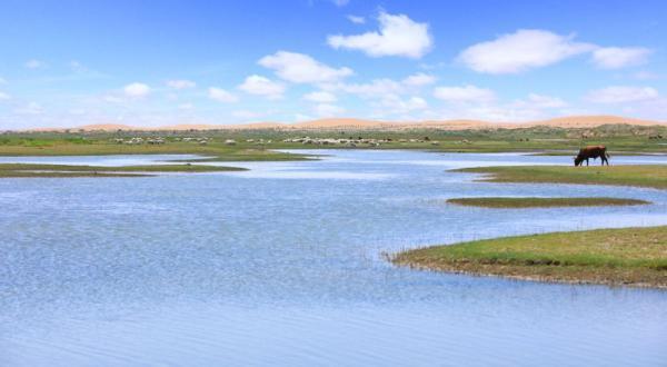 腾格里沙漠最具体的位置在哪儿，腾格里沙漠有个奇怪的湖