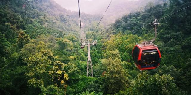 青城山旅游攻略，青城山旅游攻略一日游最佳路线（青城山一日游要怎么玩）