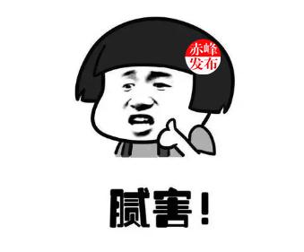 赤峰高铁路线图都有什么站，喀左~赤峰高铁计划4月联调联试