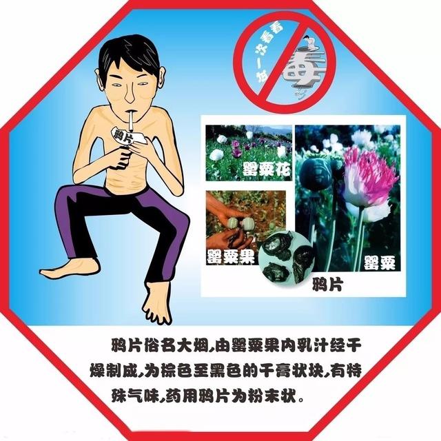 禁毒课堂毒品预防知识，以下20条最基本的禁毒知识你有记住吗